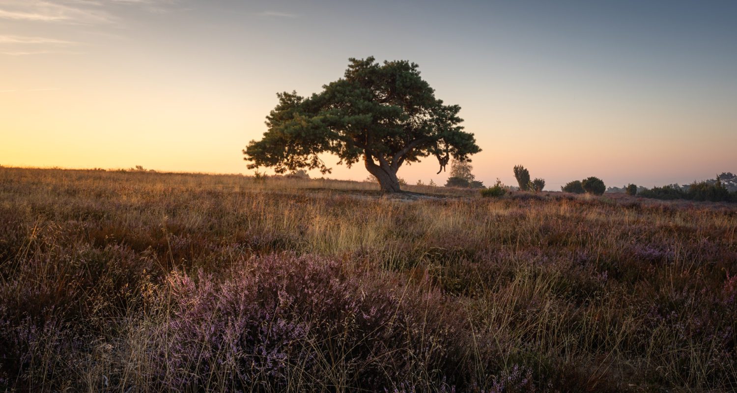 De mooiste wandelroutes van Dalfsen