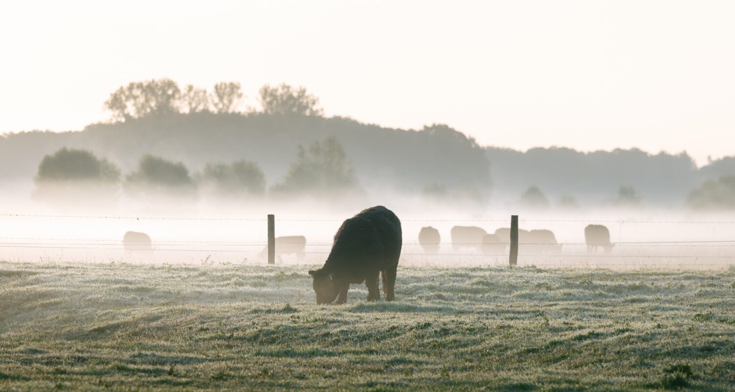 NIEUW! Barones Smaakmakersproeverij
