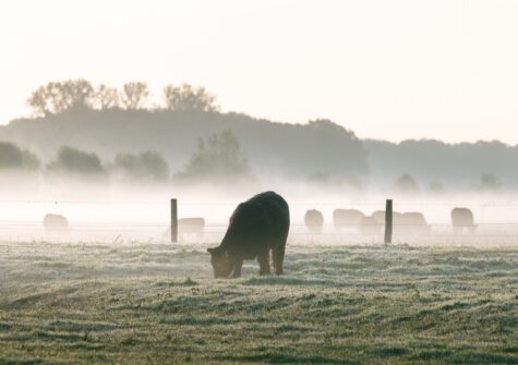 NIEUW! Barones Smaakmakersproeverij